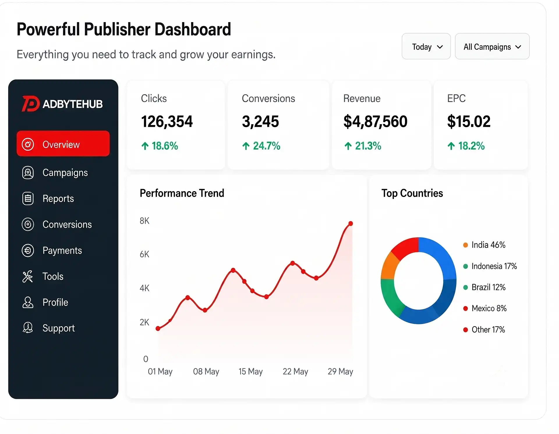 Powerful AdByteHub publisher dashboard showing clicks, conversions, revenue, EPC and top countries breakdown