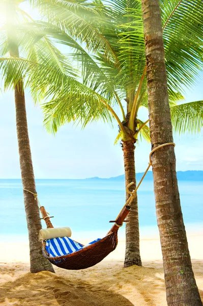 2X Increase in Direct Bookings
